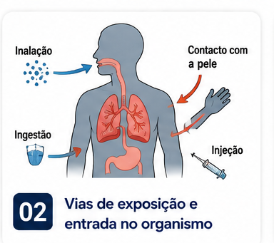 Vias de exposição e entrada no organismo